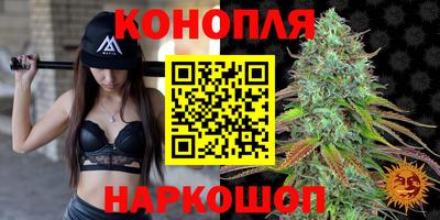 сатива Можга