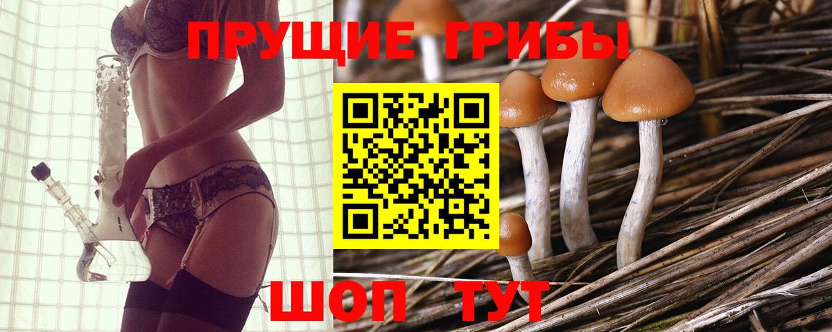 как найти наркотики  Вход с VPN  Ухта  Галлюциногенные грибы Cubensis  Галлюциногенные грибы Psilocybe 